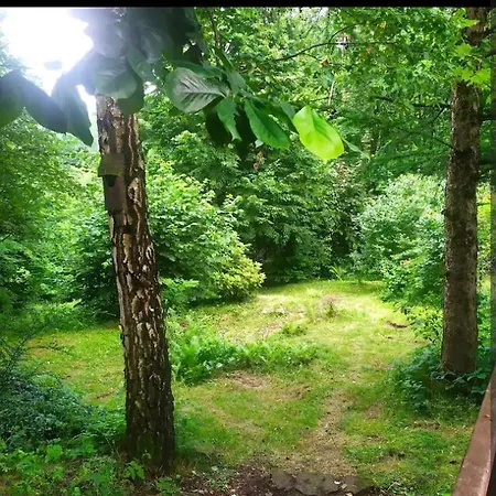 W Gorach Holiday home