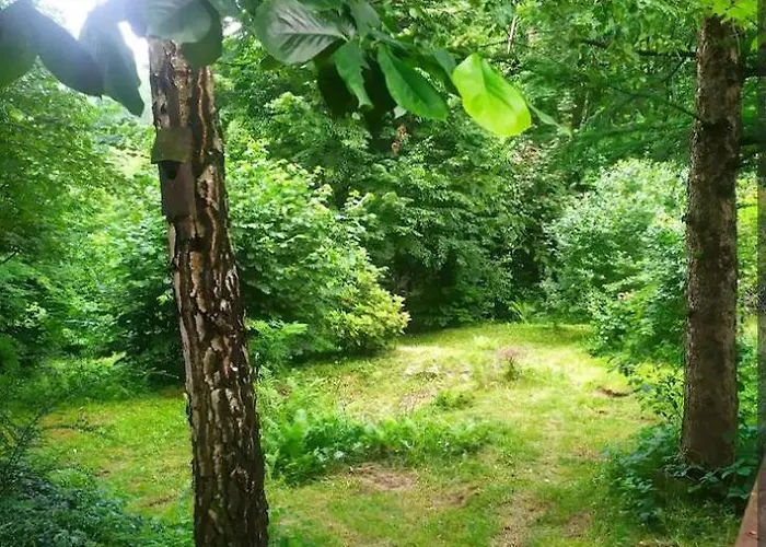 W Gorach בית נופש