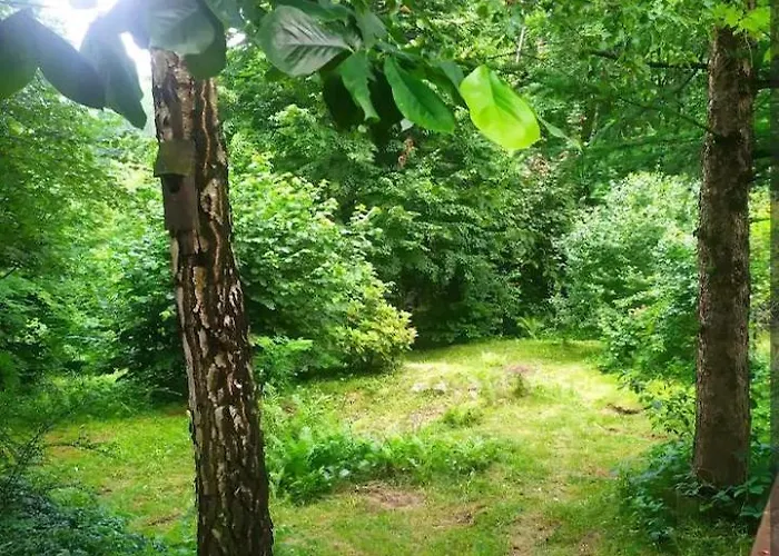 בית נופש W Gorach