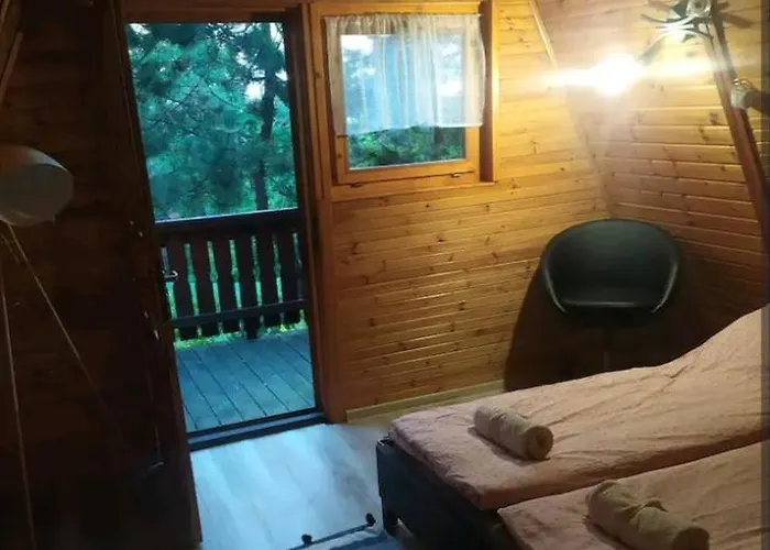 בית נופש W Gorach